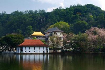 Tour de un día a Kandy
