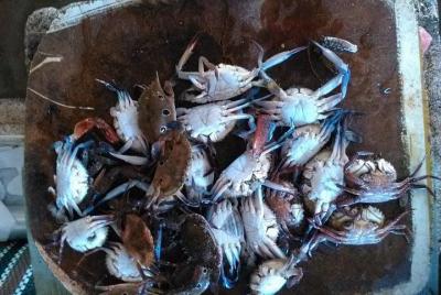 Tour de la ciudad de Negombo