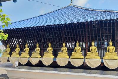 Excursión de día completo a Colombo desde Negombo con recogida y 