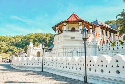 Tour por la ciudad de Kandy (todo incluido)