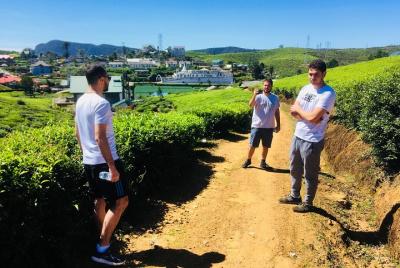 Nuwara Eliya / Cascada / Fábrica de té / Sabor de comida - ASY To