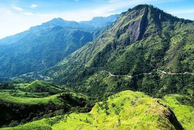 Excursión de un día a Ella desde Nuwara Eliya / Viaje en tren / D