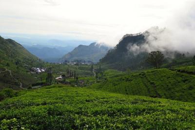Asiento de Lipton y fábrica de té Dambatenna desde Haputale - Tou