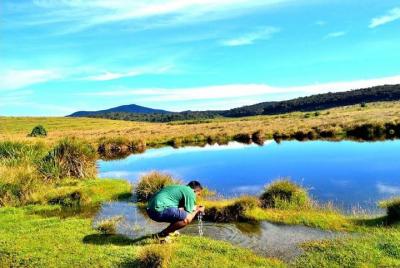 Parque Nacional de Horton Plains (Taxi) - ASY Tours