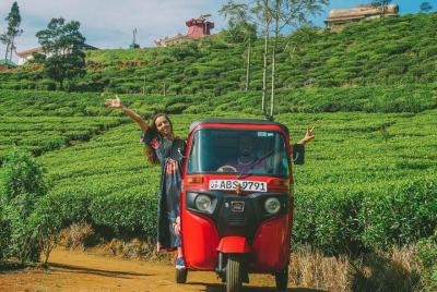 Todo incluido: explore el campo de Nuwara Eliya en Tuk-Tuk