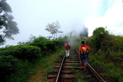 Recorrido a pie por Haputale Tea Estate desde Ella