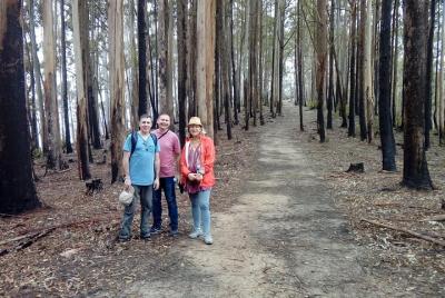 Ella Rock - Ravana Cave and Village Trekking from Ella, Haputale 