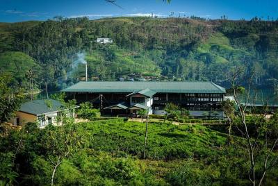 E-bicicleta con nosotros en Castlereagh Tea Trails (Tour privado)