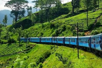 Viaje en tren de Nanu Oya a Ella en (Tren No: 1005 