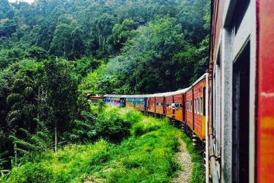 Viaje en tren de Nanu Oya a Ella en (Tren No: 1015 