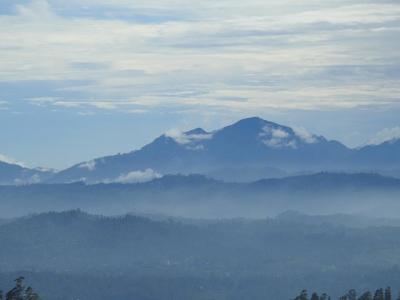 Actividades de la naturaleza