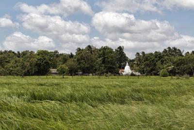 Trekking en el pueblo de Illukpelessa desde Ella