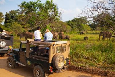Jeep Safari a Hurulu Eco Park.