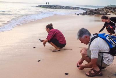 Traslado privado de la ciudad de Norwood al aeropuerto de Colombo