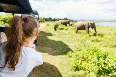 Safari en el Parque Nacional Minneriya desde Sigiriya