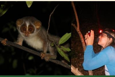 Sigiriya Loris Night Trail Sigiriya Loris Night Trail