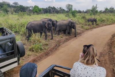 Safari privado en el parque ecológico de Hurulu desde Sigiriya