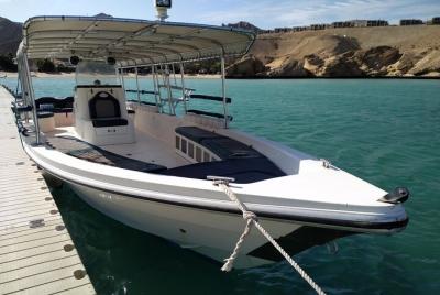 2 horas de observación de delfines en Omán