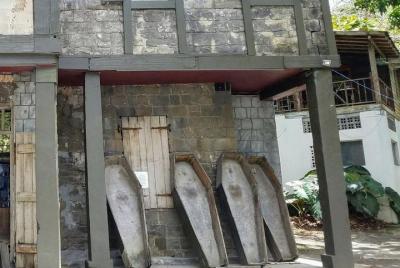 Tour de piratas de medio día desde Kingstown