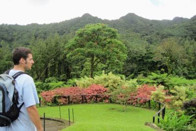 Jardines de Montreal y Belmont Lookout Tour