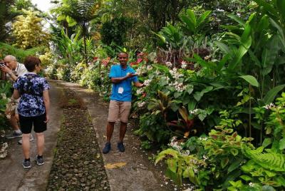 La experiencia de medio día de los jardines y la playa de Montrea