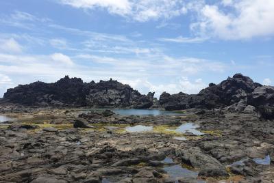 Owia Salt Pond Tour y Black Point Tunnel con Topdawg Taxi and Tou