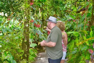  Montreal Garden, mirador Belmont y el parque recreativo Rawacou 