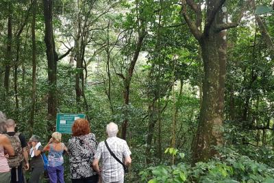 Caminata por el sendero natural de Vermont