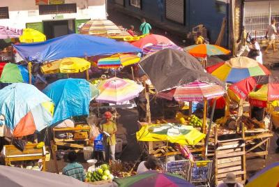 Tour de medio día por el mercado de Kingstown