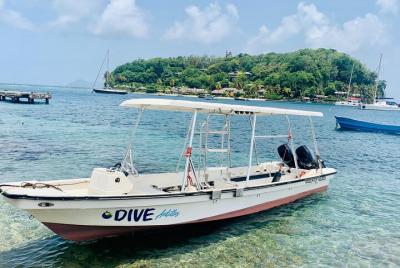 Dive Antilles: experiencia de buceo en grupos pequeños en San Vic
