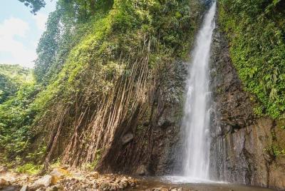 Tour de medio día a las cataratas Dark View