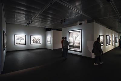 Boleto de entrada a Fotografiska, 90 minutos Boleto de entrada a Fotografiska, 90 minutos