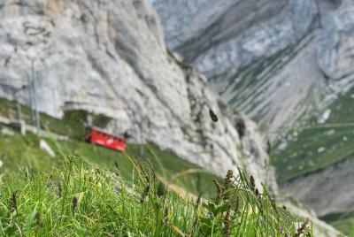 Mount-Pilatus Heritage & Beer Delight desde Basilea Mount-Pilatus Heritage & Beer Delight desde Basilea