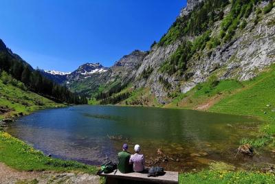 Excursión privada a los lugares privilegiados más impresionantes  Excursión privada a los lugares privilegiados más impresionantes