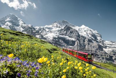 Viaje en tren a Jungfraujoch para titulares de Swiss Travel Pass.