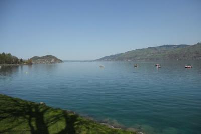 Excursión privada exprés al lago de Thun y el lago de Brienz desd