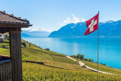 Tour panorámico del vino desde Montreux Tour panorámico del vino desde Montreux