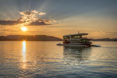 Crucero en catamarán de 1 hora por el lago de Lucerna