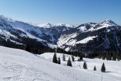 Desde Zúrich: excursión privada de nieve, montañas y excursión de