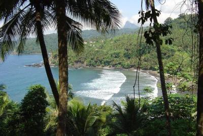 Clases de surf y alquiler de tablas