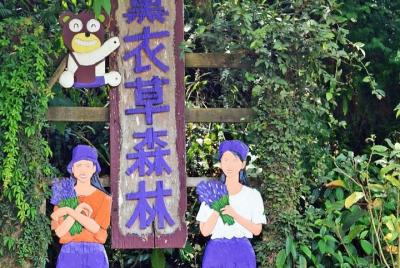 Excursión privada de día completo a Taichung y Lavender Cottage c