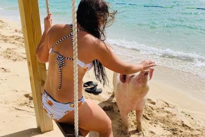 Los cerdos no pueden volar, ¡pero nadan! Los cerdos no pueden volar, ¡pero nadan!