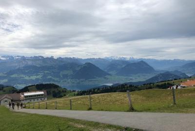 Tour privado al monte Rigi y al lago de Lucerna Tour privado al monte Rigi y al lago de Lucerna