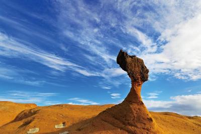 Excursión de medio día a la costa norte con Parque Yehliu desde T