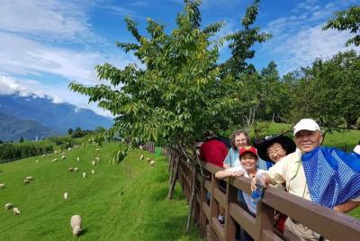 Excursión privada de 5 días a Taiwan Family Fun Private