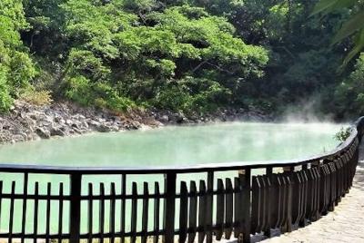 Recorrido privado a pie por las vegetarianas de 3 horas: visita e