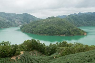 Recorrido de 5 horas por el lago Island Island y Pinglin Tea Plan