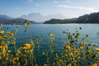 Tour por la montaña y el lago de Taiwán (tour privado de 6 días)