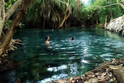Tour de 1 día Hot Spring (Majimoto)