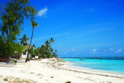 Tortugas Nungwi y excursión en crucero - Zanzibar